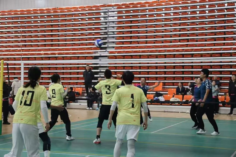 ece0941e44766392e3024988c5fed8b